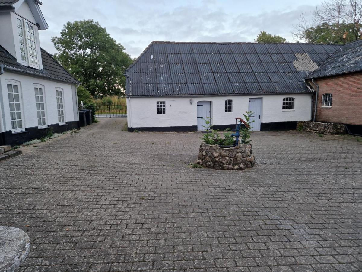 Trandafir Guesthouse エクトヴィズ エクステリア 写真
