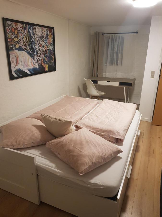 Trandafir Guesthouse エクトヴィズ エクステリア 写真