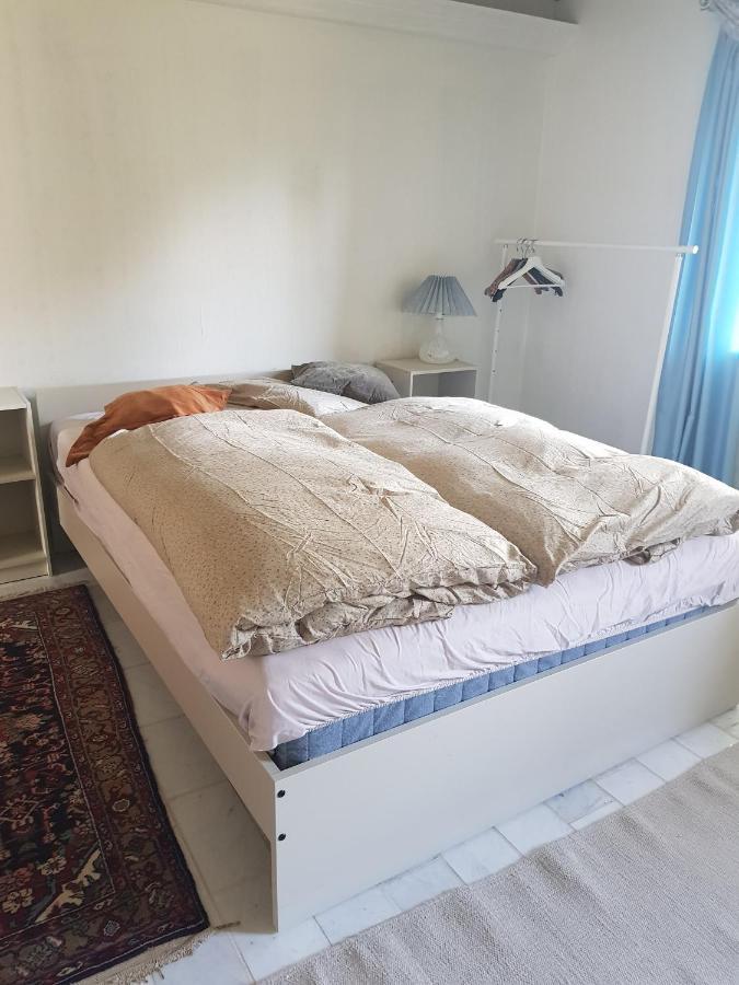 Trandafir Guesthouse エクトヴィズ エクステリア 写真