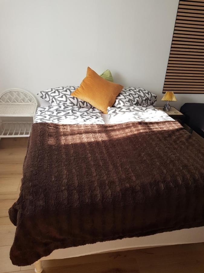 Trandafir Guesthouse エクトヴィズ エクステリア 写真