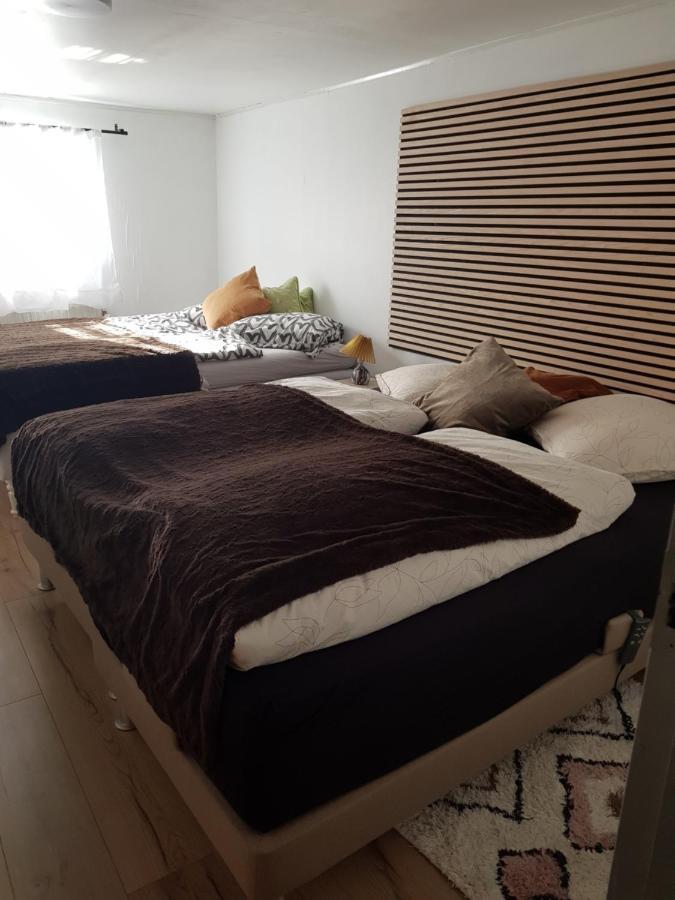 Trandafir Guesthouse エクトヴィズ エクステリア 写真