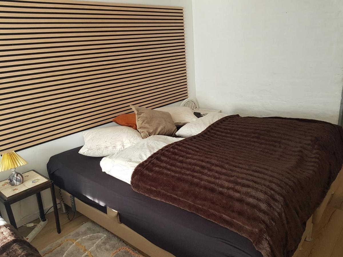 Trandafir Guesthouse エクトヴィズ エクステリア 写真