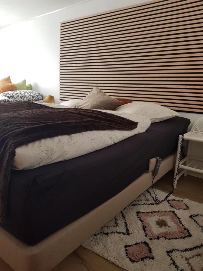 Trandafir Guesthouse エクトヴィズ エクステリア 写真