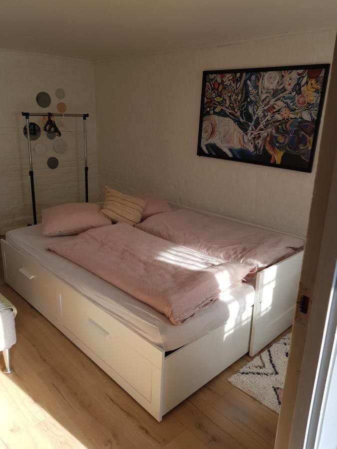 Trandafir Guesthouse エクトヴィズ エクステリア 写真