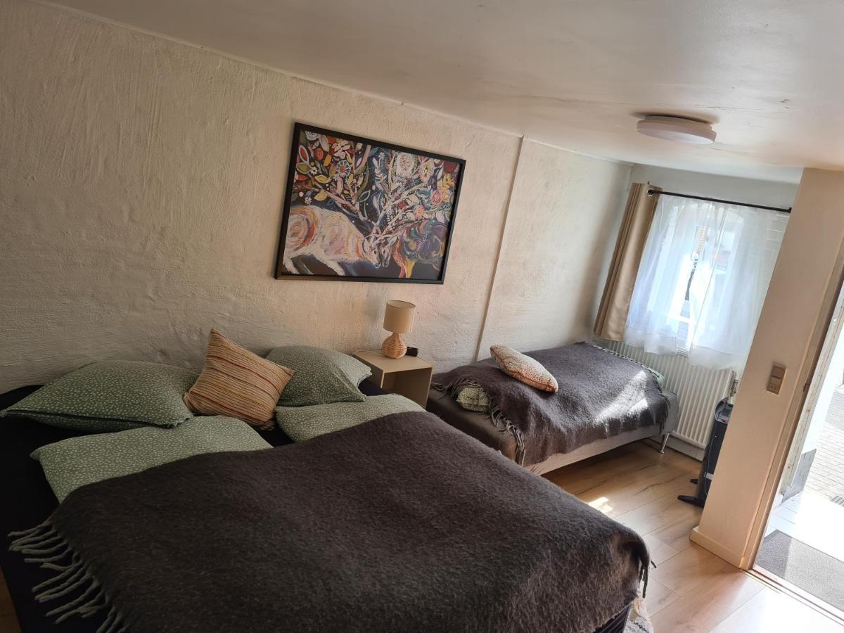 Trandafir Guesthouse エクトヴィズ エクステリア 写真