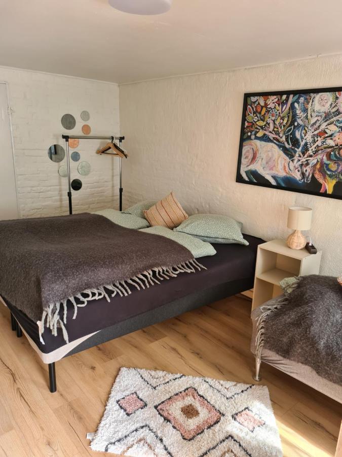 Trandafir Guesthouse エクトヴィズ エクステリア 写真